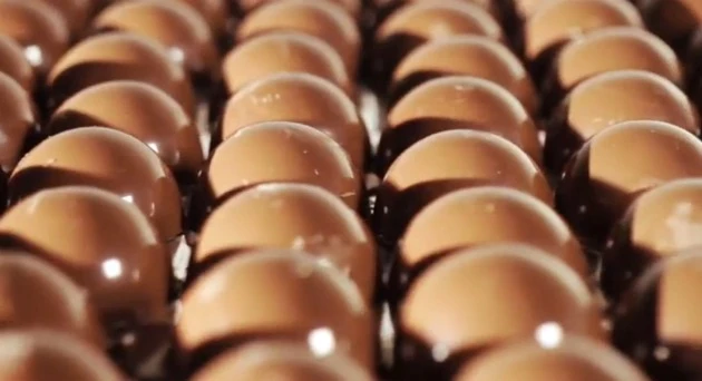 beer eggs beer eggs