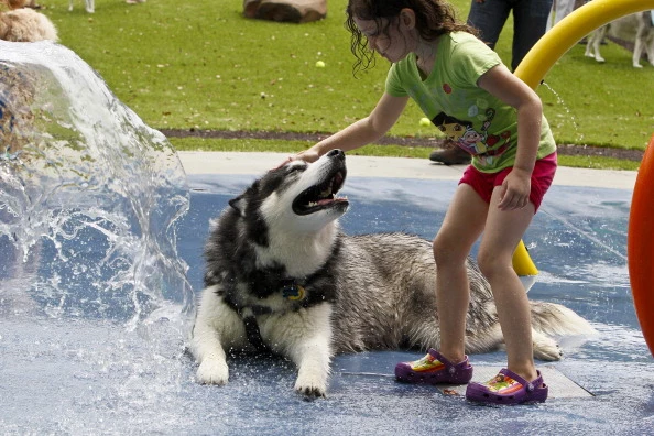 Beneful Dream Dog Park Unveil Event
