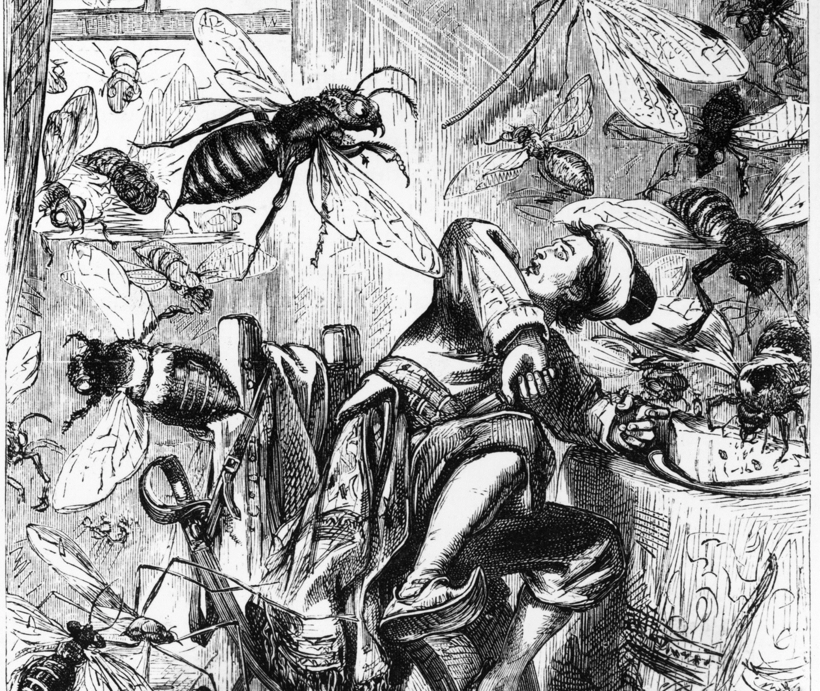 Gulliver's Insects