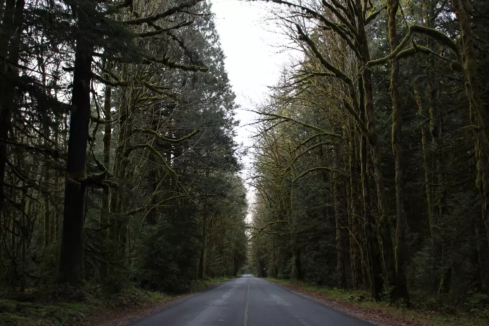 Minnesota’s Most Haunted Road is an Hour From St. Cloud