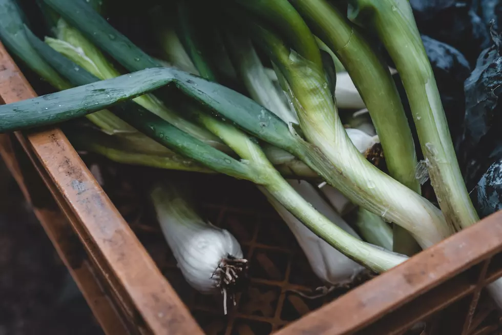 Unlocking Gardening Secrets: Workshops In MN You Can’t Miss!