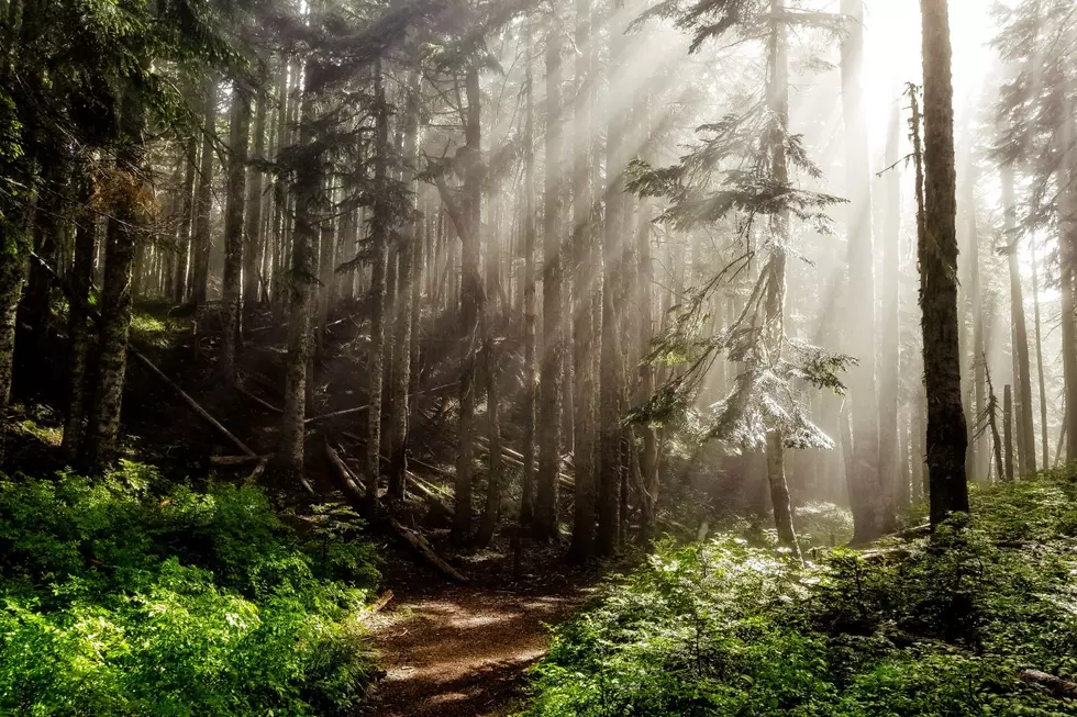 Would You Try This “Claustrophobic” Minnesota Hike?