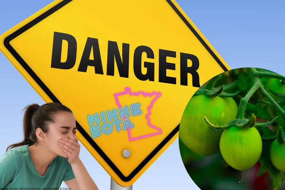 Minnesotans Should NOT Eat This Strange ‘Fruit’ If They Find It!