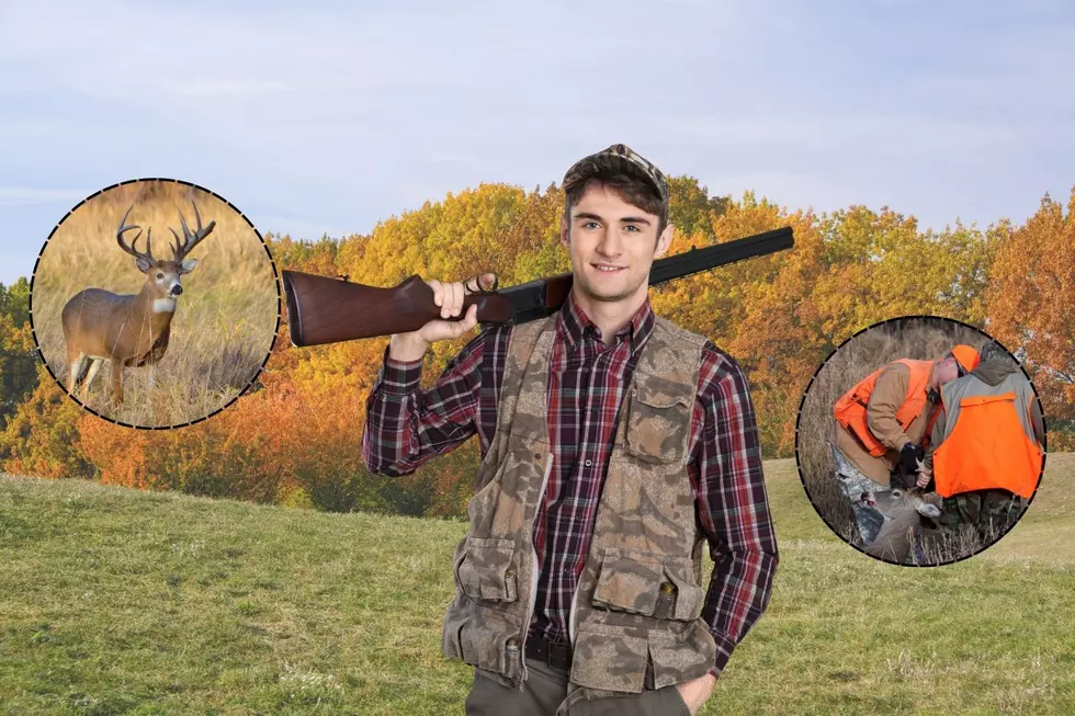 ‘Hope’ & ‘Improvement’ Run High In ’24 – MN Deer Hunting Forecast