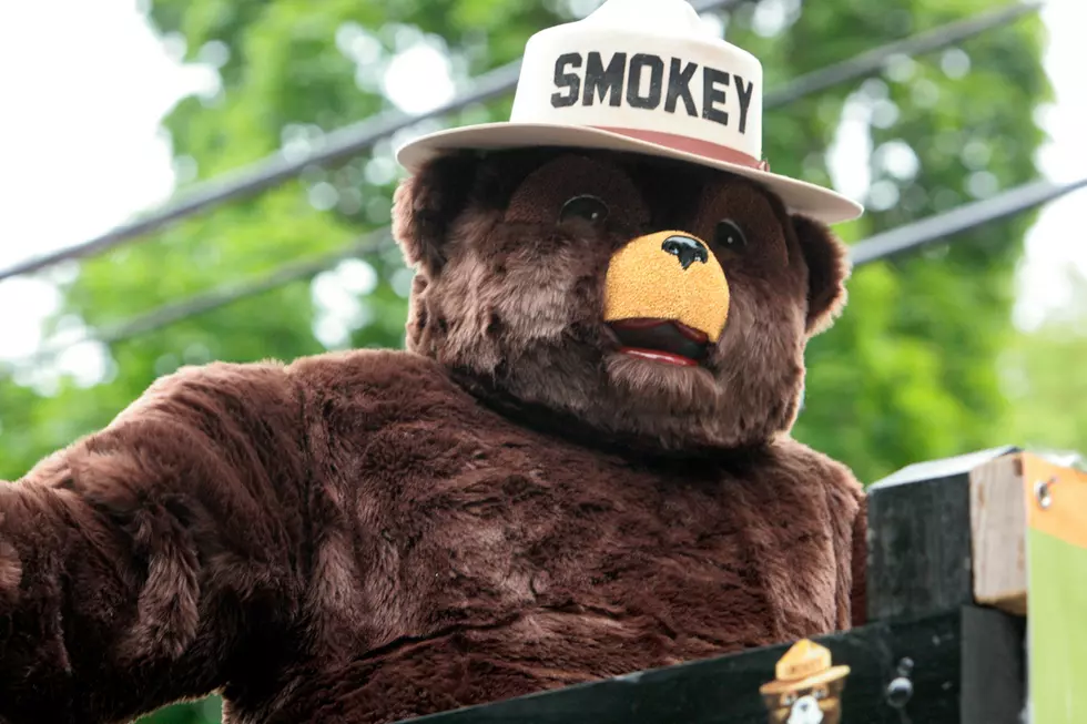 Discover ‘Wild Minnesota': A Family-Friendly Event With Nate The Bear Guy