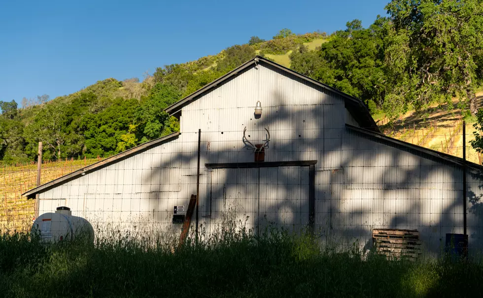 Photo by Jim Witkowski on Unsplash