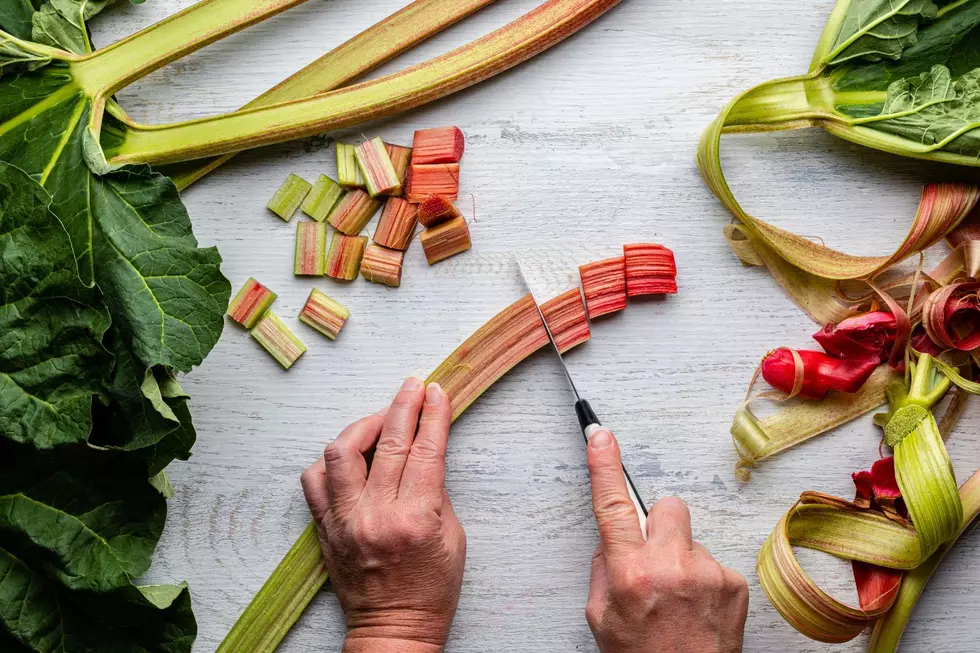 This St. Cloud Business Wants Your Extra Rhubarb