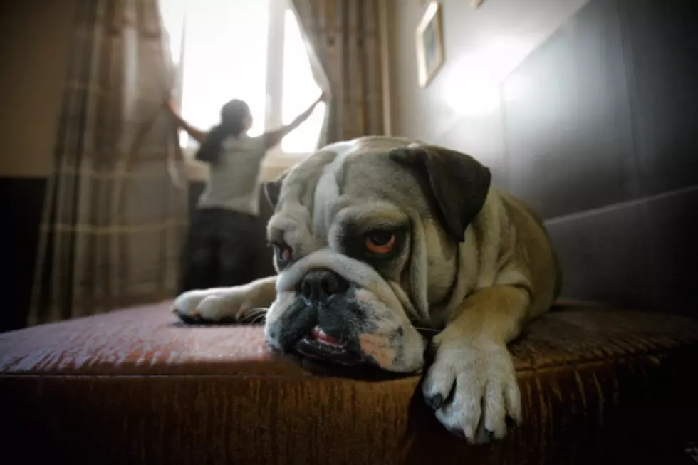 Minnesotans Staying in a Hotel – What’s the Most Important Thing?
