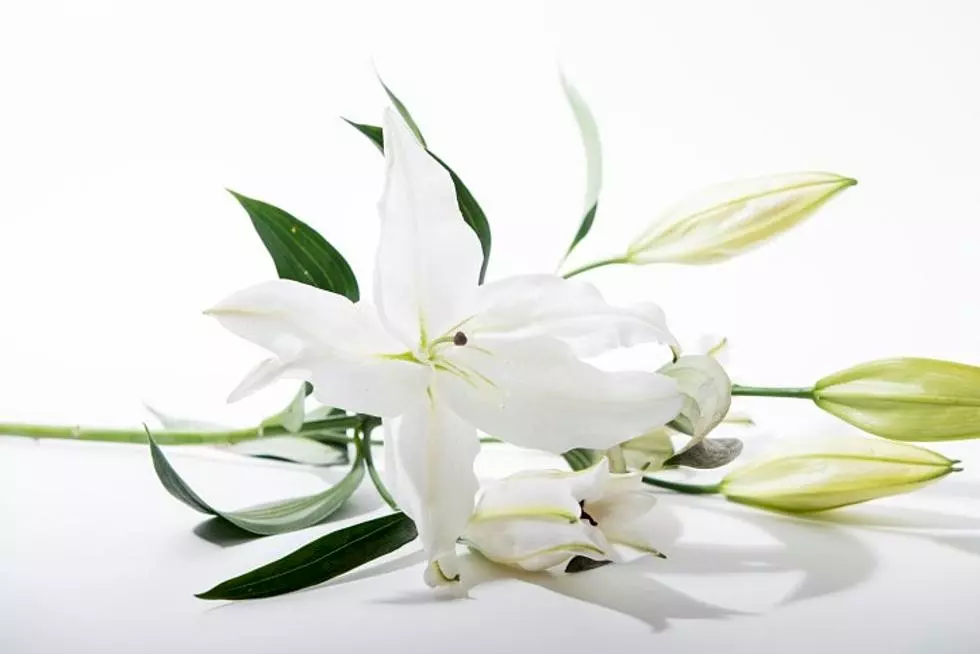 Victoria “Vicki” Lee Carik, 71, Becker