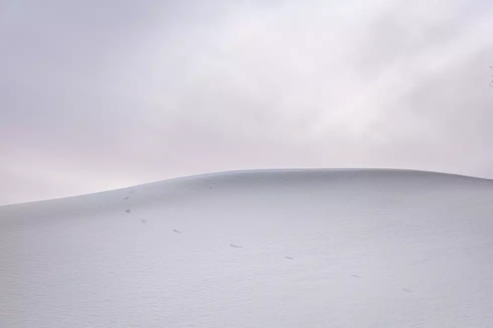 Minnesota Snow Hill Becomes a Picture Destination for Funny Reason